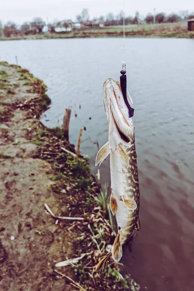 Fiske Sport Rekreation Bakgrund — Stockfoto