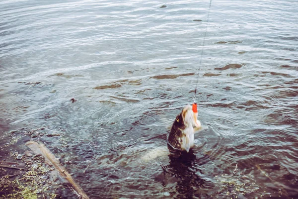 Pesca Deporte Recreación Fondo — Foto de Stock