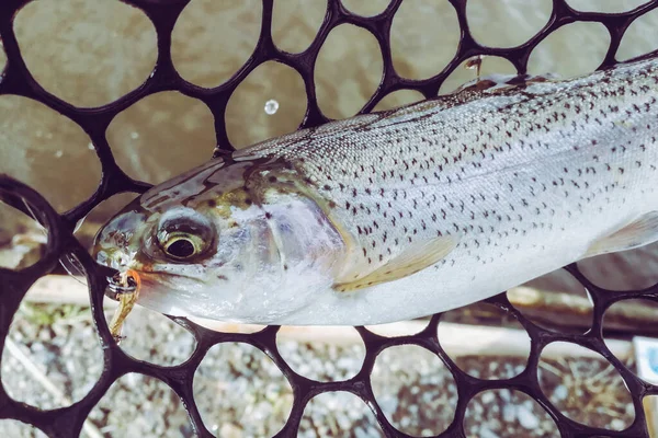 Fishing Sport Recreation Background — Stock Photo, Image