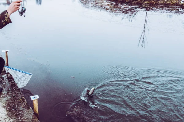 Rybaření Pstruhů Jezeře — Stock fotografie