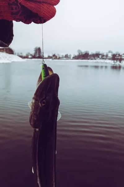 Pike fishing on the lake. Fishing recreation