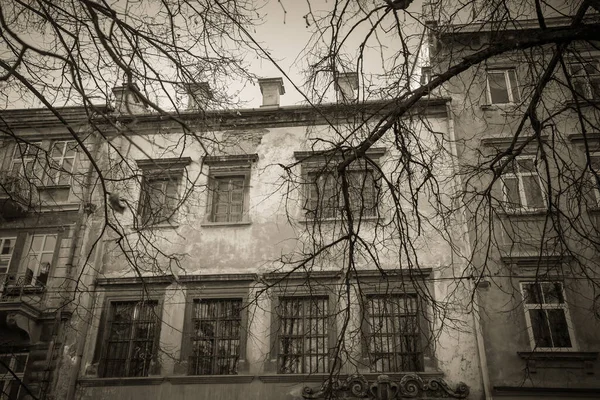 Magnificent Winter Lviv Architecture Streets Stock Picture