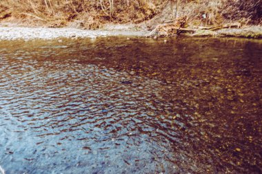Dağların ve nehirlerin güzel doğası
