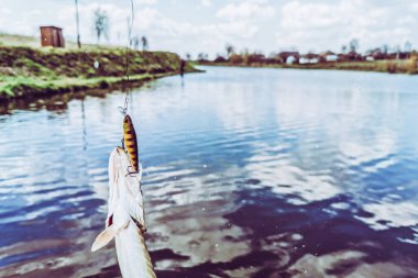 Balıkçılık, köy dinlenmesi. Rekreasyon temasının arkaplanı