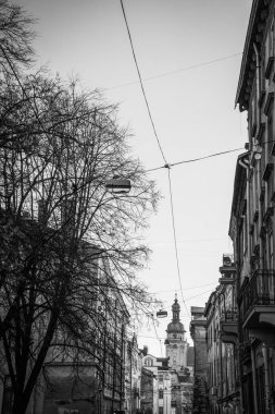 Muhteşem kış Lviv mimarisi ve sokakları