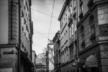 Muhteşem kış Lviv mimarisi ve sokakları