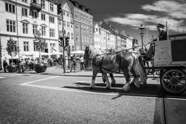 Kopenhag 'ın muhteşem mimarisi