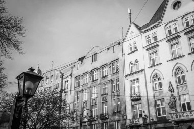 Muhteşem kış Lviv mimarisi ve sokakları