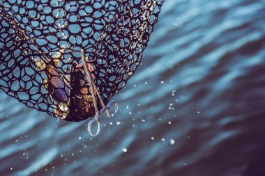 Gölde alabalık avı