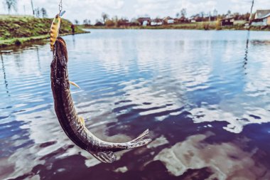 Balıkçılık, köy dinlenmesi. Rekreasyon temasının arkaplanı