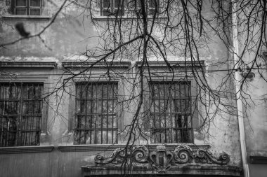 Muhteşem kış Lviv mimarisi ve sokakları