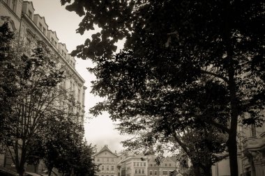 Güz Prag 'ın güzel sokakları ve mimarisi