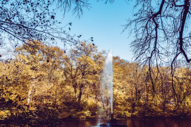 Güzel bir tarihi parkta muhteşem bir sonbahar.