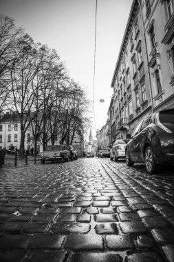 Muhteşem kış Lviv mimarisi ve sokakları