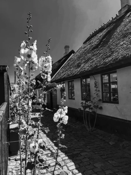 Beautiful Sea Village Denmark — Stock Photo, Image