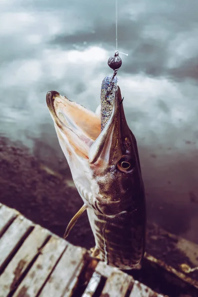 Pesca Lúcio Lago — Fotografia de Stock