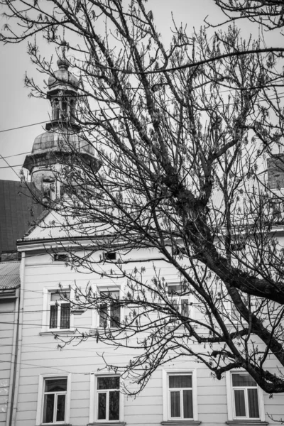 Prachtige Winter Lviv Architectuur Straten — Stockfoto