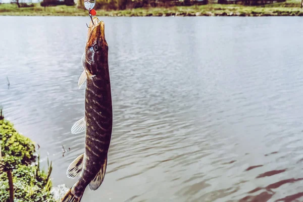 Pesca Descanso Rural Contexto Sobre Tema Recreación — Foto de Stock