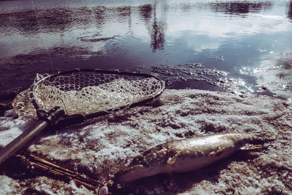 Pesca Lucio Lago — Foto de Stock