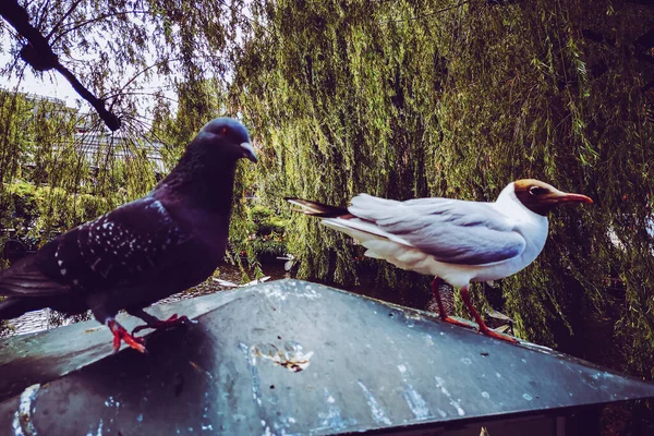 Kopenhag Sokakları Eğlence Yerleri Kopenhag Gezisi — Stok fotoğraf