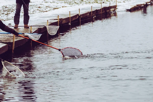 Pesca Truta Fundo Lago — Fotografia de Stock