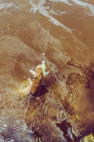 Pesca Descanso Rural Contexto Sobre Tema Recreación —  Fotos de Stock