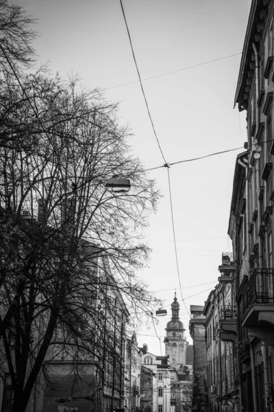 Nádherná Zima Lvov Architektura Ulice — Stock fotografie