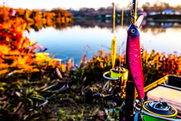 Pêche Brochet Sur Lac Pêche Sportive Activités Plein Air — Photo