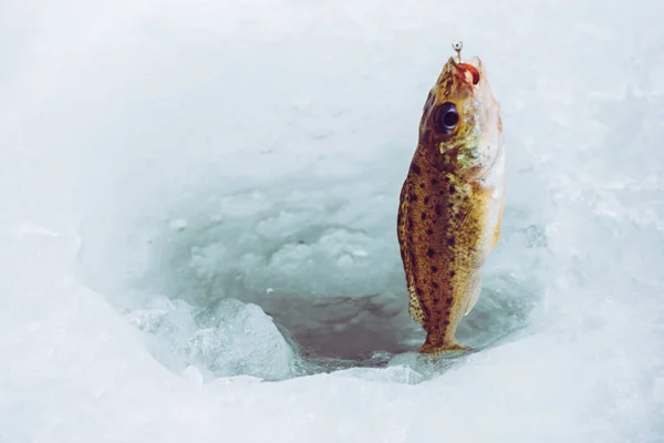 Inverno Fundo Pesca Gelo — Fotografia de Stock