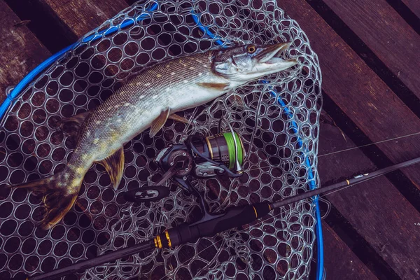 Pêche Loisirs Plein Air Sur Fond Lac — Photo