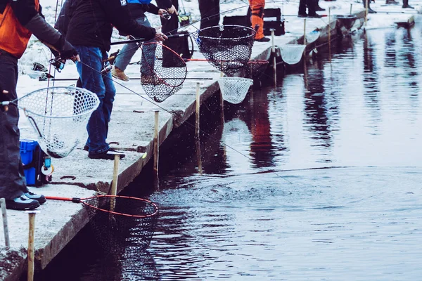 Pisztránghalászat Tavon Halászati Szabadidő — Stock Fotó