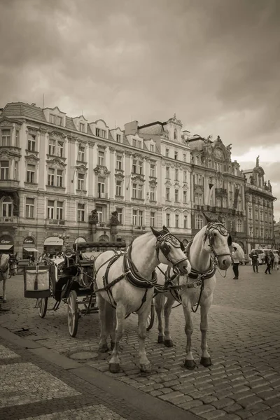 Belle Strade Architettura Autunno Praga — Foto Stock