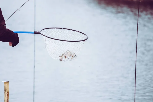 Pesca Truchas Fondo Del Lago — Foto de Stock