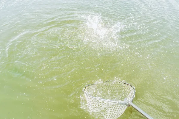 Pêche Truite Dans Lac Pêche Loisirs — Photo