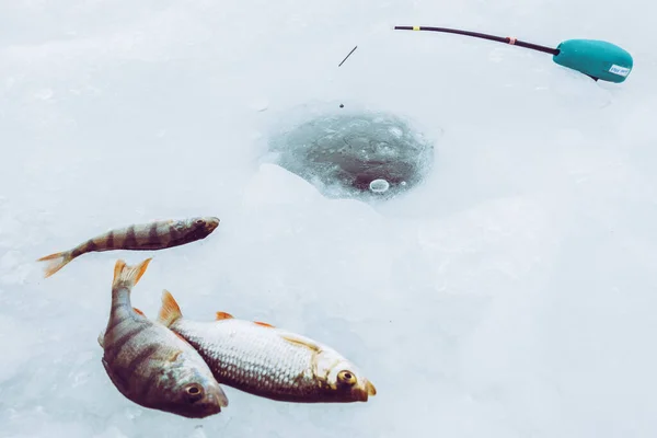 冬の氷釣りの背景 — ストック写真