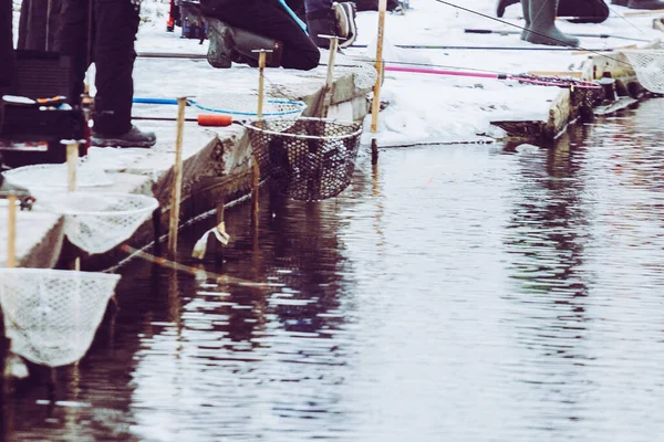 호수에서 송어를 — 스톡 사진