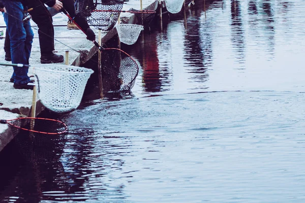 Öring Fiske Sjön Fritidsfiske — Stockfoto