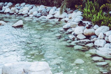 Kıyıdaki güzel hamak