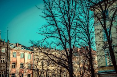 Muhteşem kış Lviv mimarisi ve sokakları
