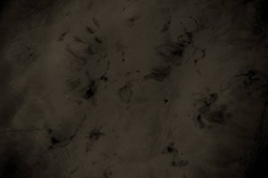 Balık yosunlarının güzel sualtı dünyası