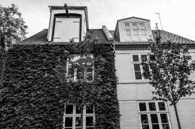 Kopenhag Şehri, Danimarka, İskandinavya. Güzel bir yaz günü