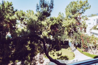 Güzel tatil beldesi. Yeşil ve çiçekler