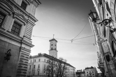 Muhteşem kış Lviv mimarisi ve sokakları