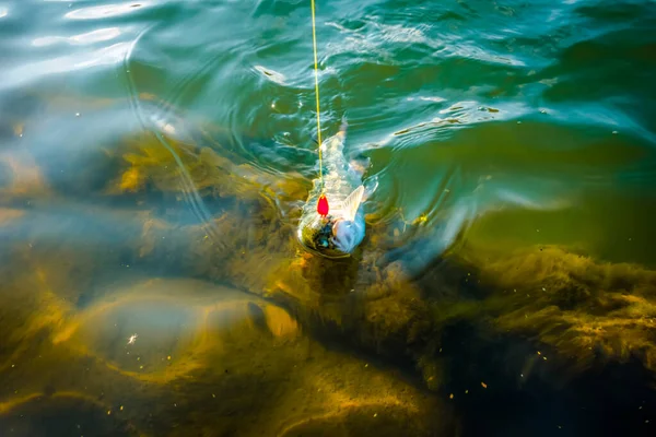 Gölde alabalık avı, spor balıkçılığı ve açık hava aktiviteleri