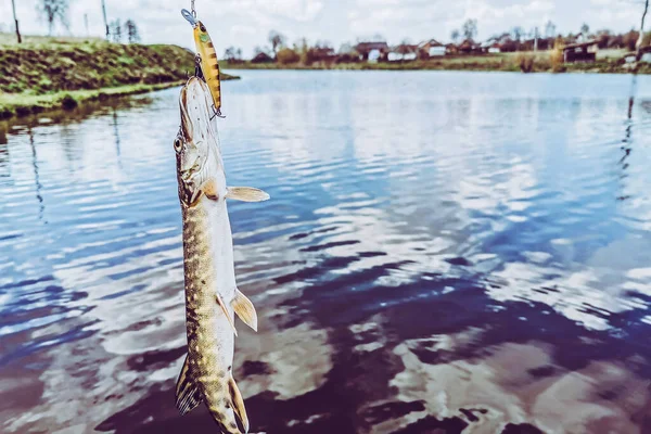 Balıkçılık, köy dinlenmesi. Rekreasyon temasının arkaplanı