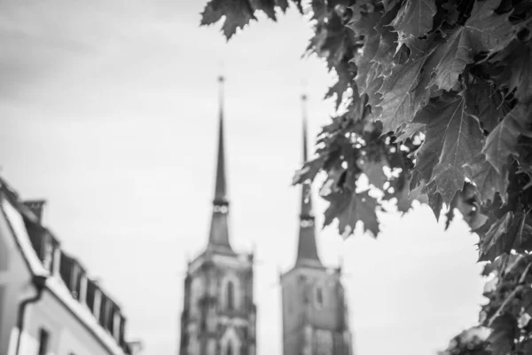 Wonderful Architecture Wroclaw Churches — Stock Photo, Image