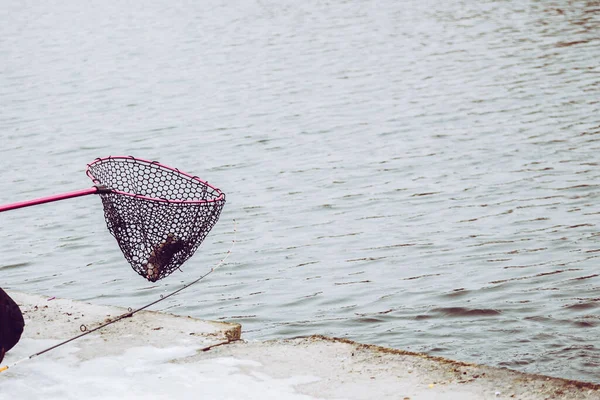 Pesca Truta Fundo Lago — Fotografia de Stock