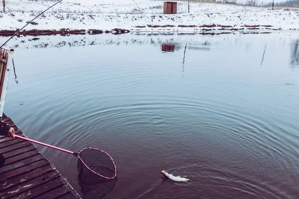 Pesca Lúcio Lago — Fotografia de Stock