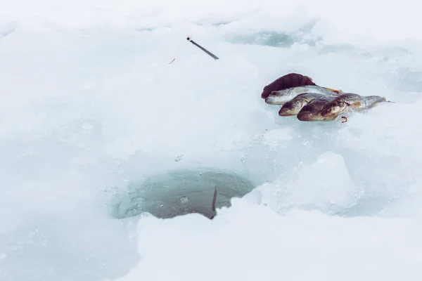 Vinterisfiske Bakgrund — Stockfoto