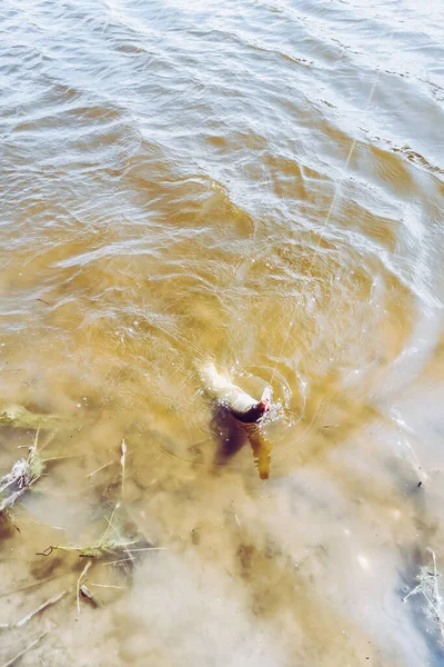 Pesca Descanso Rural Contexto Sobre Tema Recreación — Foto de Stock